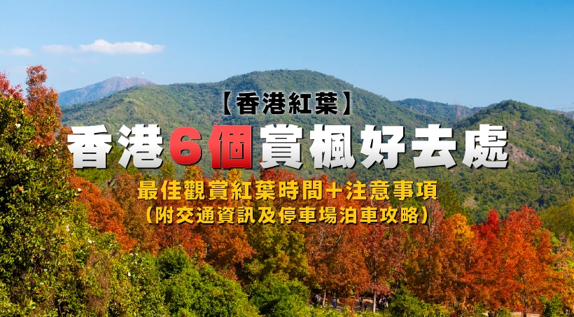 【香港紅葉】香港6個賞楓好去處(附交通資訊及停車場泊車攻略)|最佳觀賞紅葉時間+注意事項