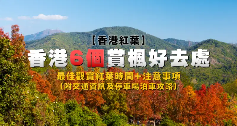 【香港紅葉】香港6個賞楓好去處(附交通資訊及停車場泊車攻略)|最佳觀賞紅葉時間+注意事項