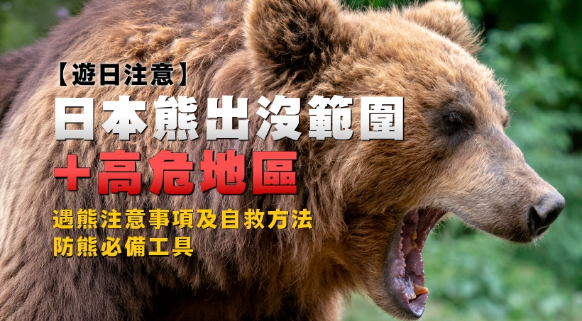 【遊日注意】日本熊出沒範圍+高危地區|防熊必備工具、遇熊注意事項及自救方法