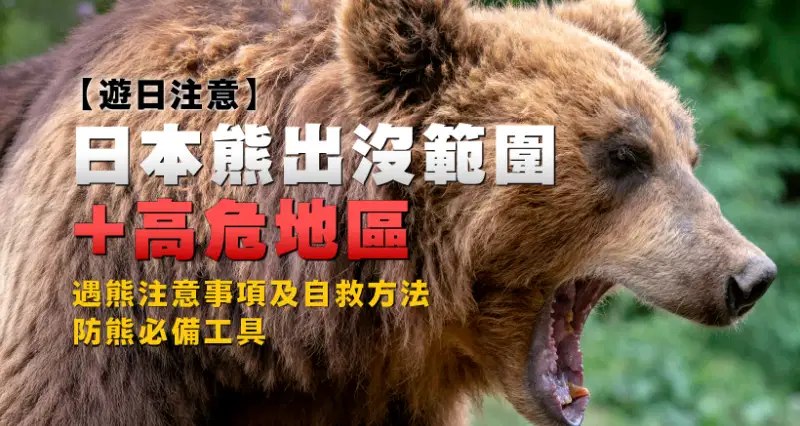【遊日注意】日本熊出沒範圍+高危地區|防熊必備工具、遇熊注意事項及自救方法