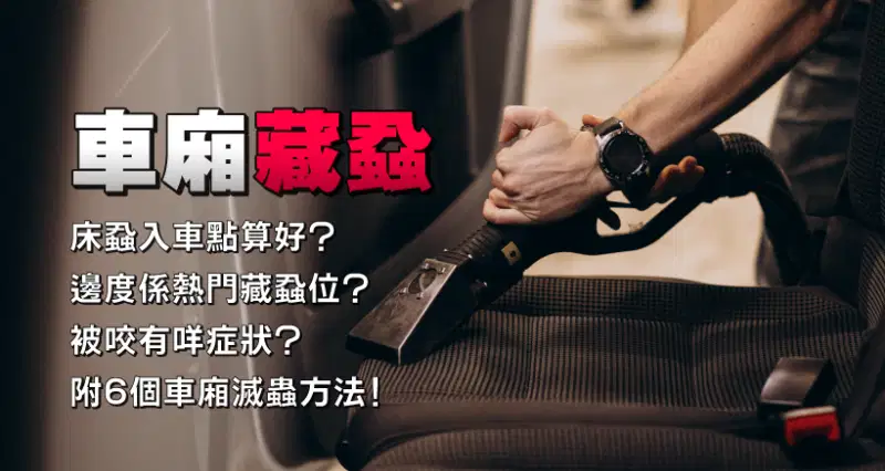 車廂藏蝨 l 床蝨入車點算好?邊度係熱門藏蝨位?被咬有咩症狀?附6個車廂滅蟲方法!