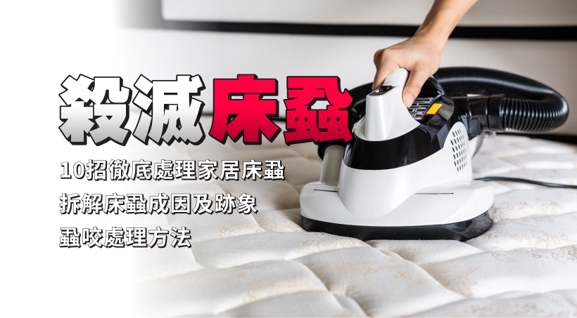 殺滅床蝨 l 10招徹底處理家居床蝨|拆解床蝨成因及跡象|蝨咬處理方法|旅行、家居預防要訣 l 附家居保險包唔包床蝨
