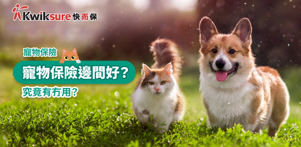 【寵物保險】寵物保險邊間好?究竟有冇用?